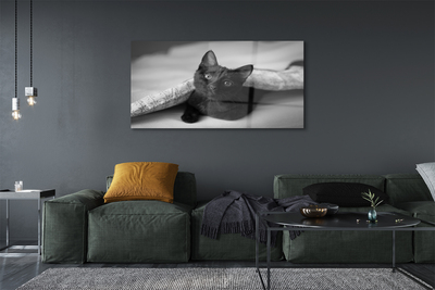 Quadro acrílico O gato debaixo das cobertas