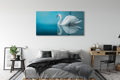 Pintura acrílica Cisne na água