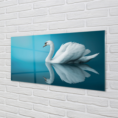 Pintura acrílica Cisne na água