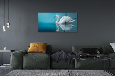 Pintura acrílica Cisne na água