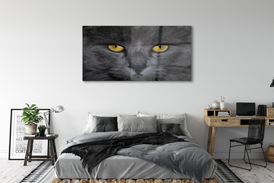Pintura acrílica Gato preto