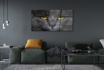 Pintura acrílica Gato preto