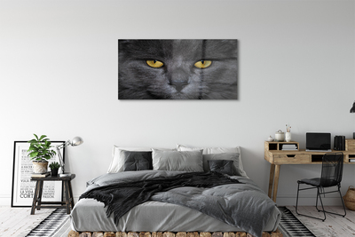 Pintura acrílica Gato preto