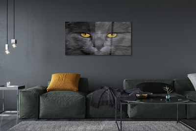 Pintura acrílica Gato preto