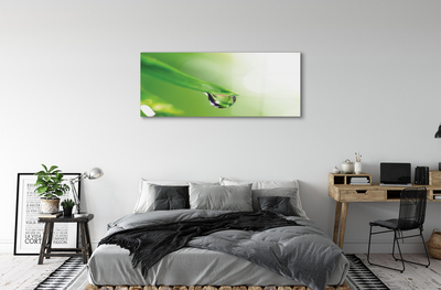 Pintura acrílica Sol de folha caída