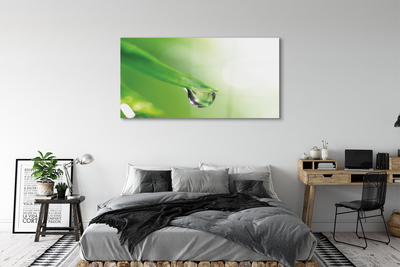 Pintura acrílica Sol de folha caída