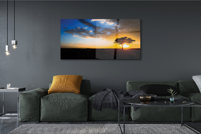 Quadro acrílico Árvore de nuvens