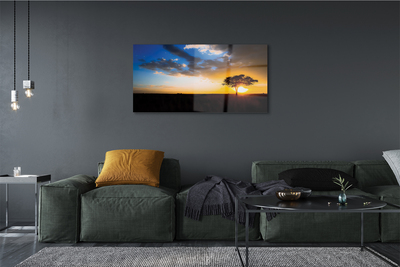 Quadro acrílico Árvore de nuvens