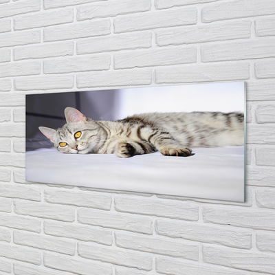 Pintura acrílica Gato deitado