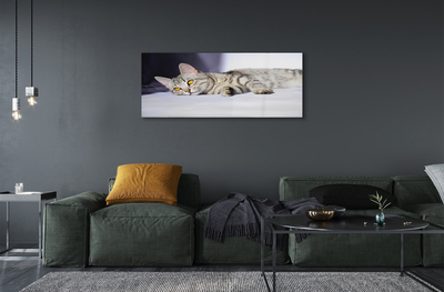 Pintura acrílica Gato deitado