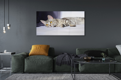 Pintura acrílica Gato deitado