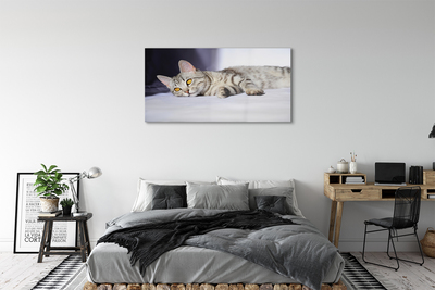 Pintura acrílica Gato deitado