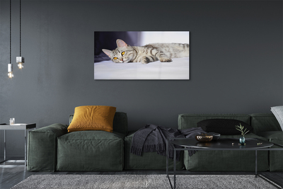 Pintura acrílica Gato deitado