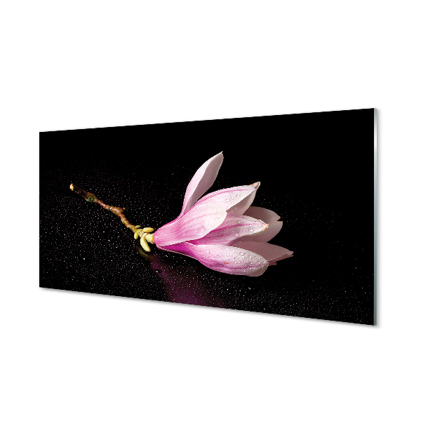 Pintura acrílica Água de flores