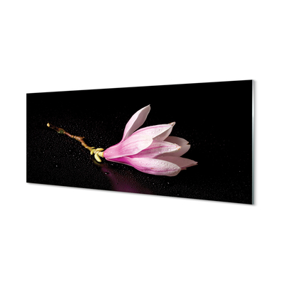 Pintura acrílica Água de flores