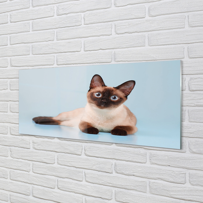 Quadro acrílico Gato deitado