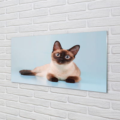 Quadro acrílico Gato deitado