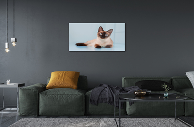 Quadro acrílico Gato deitado