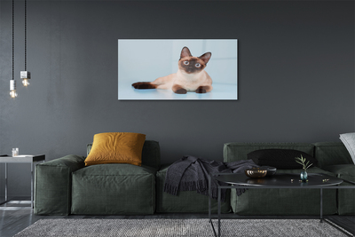 Quadro acrílico Gato deitado