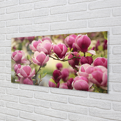 Quadro acrílico Flores de árvores