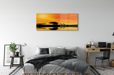 Quadro acrílico Girafas pôr do sol árvore lago