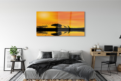 Quadro acrílico Girafas pôr do sol árvore lago