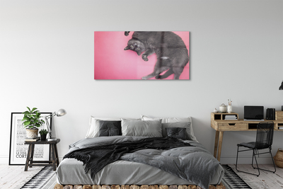 Pintura acrílica Gato deitado