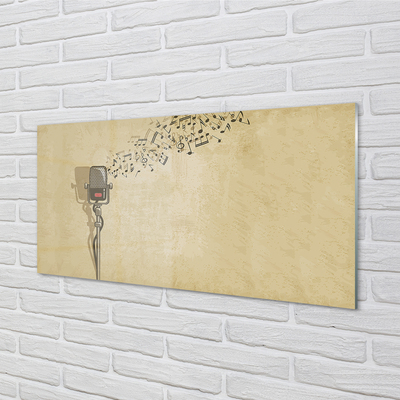 Quadro acrílico Microfone musical