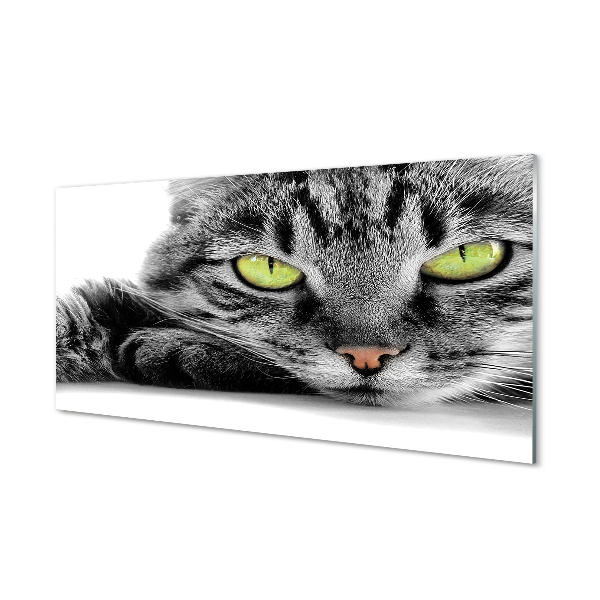 Quadro acrílico Gato cinza e preto