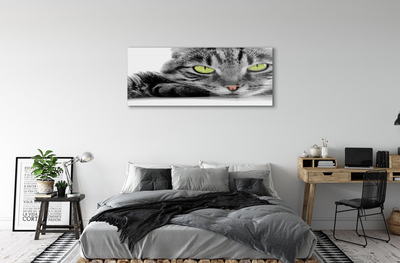Quadro acrílico Gato cinza e preto