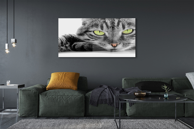 Quadro acrílico Gato cinza e preto