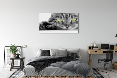 Quadro acrílico Gato cinza e preto