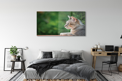 Pintura acrílica O Gato Olhando