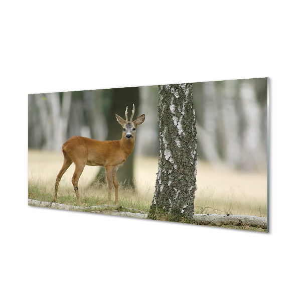 Quadro acrílico Floresta de veados