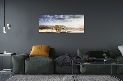 Pintura acrílica Pantera das Nuvens