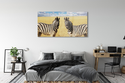 Quadro acrílico Campo de zebras