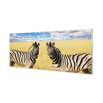 Quadro acrílico Campo de zebras