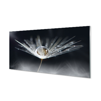 Quadro acrílico Macro de gota de dente-de-leão