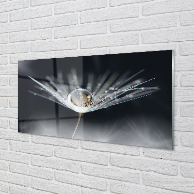 Quadro acrílico Macro de gota de dente-de-leão