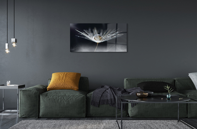 Quadro acrílico Macro de gota de dente-de-leão