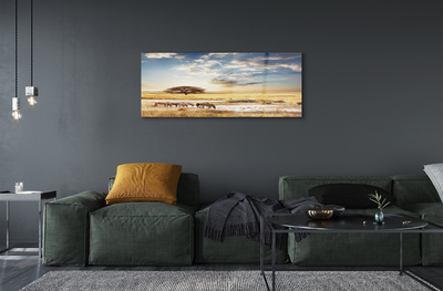 Quadro acrílico Árvore de nuvens de zebras