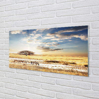 Quadro acrílico Árvore de nuvens de zebras