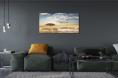 Quadro acrílico Árvore de nuvens de zebras