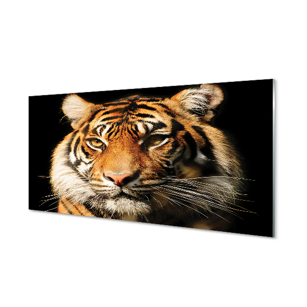 Pintura acrílica Tigre