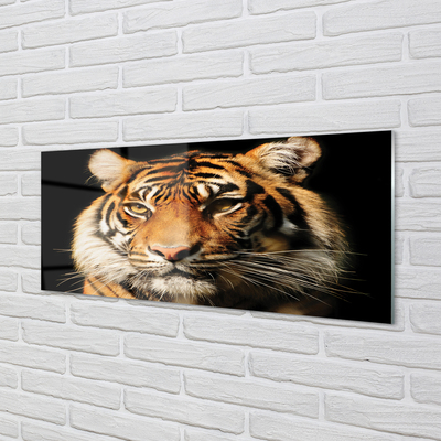 Pintura acrílica Tigre