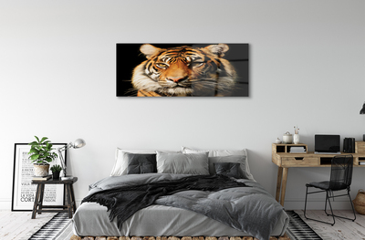 Pintura acrílica Tigre