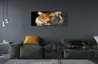 Pintura acrílica Tigre