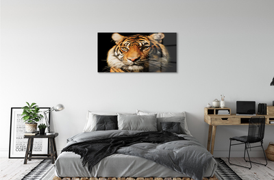 Pintura acrílica Tigre