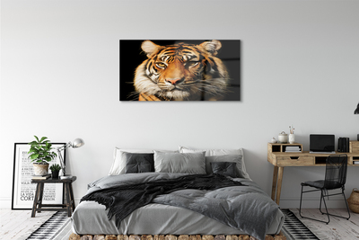 Pintura acrílica Tigre