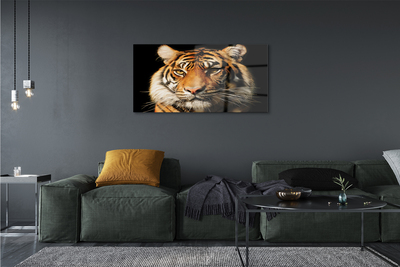 Pintura acrílica Tigre